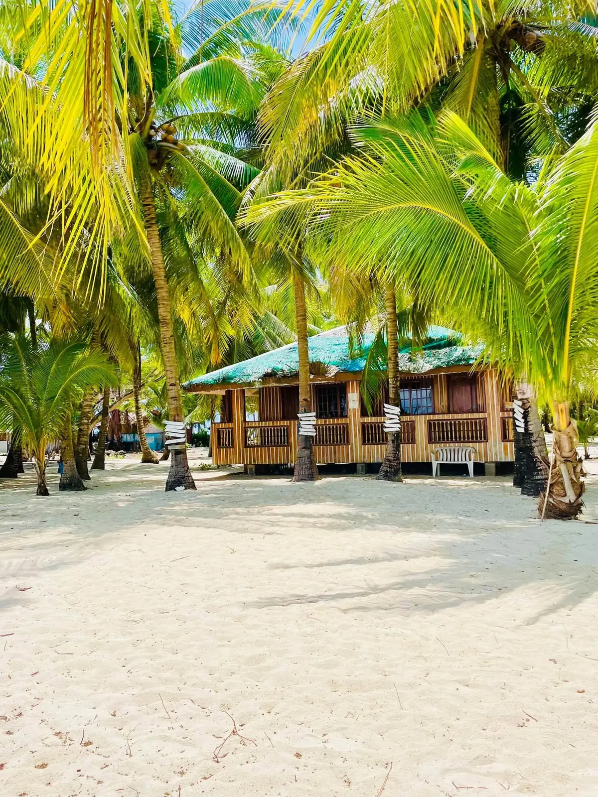 Beach cottages under coconut palms on white sand