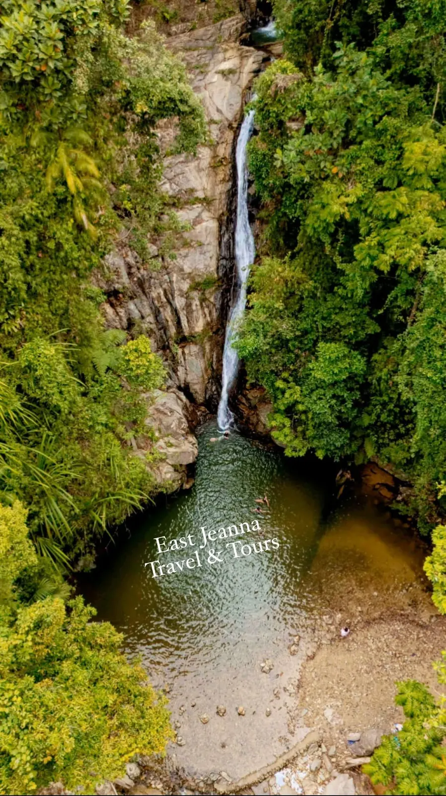 A waterfall dropping into a green pool in the forest